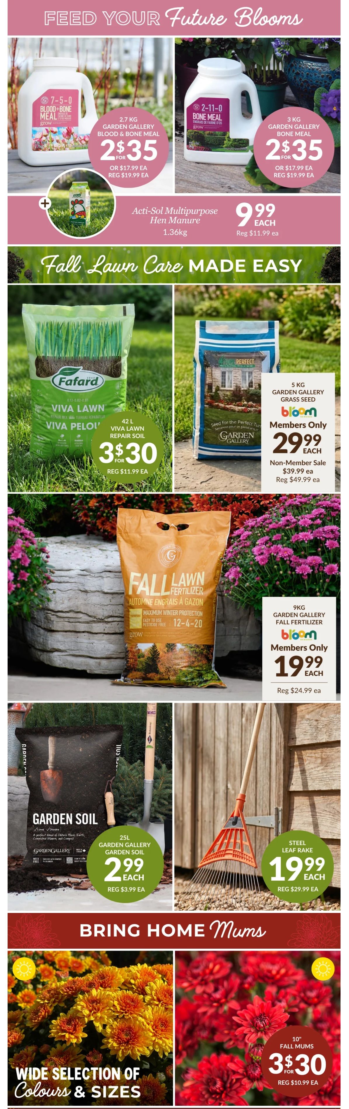 Lakeside Garden Gallery Flyer September 11 to 17