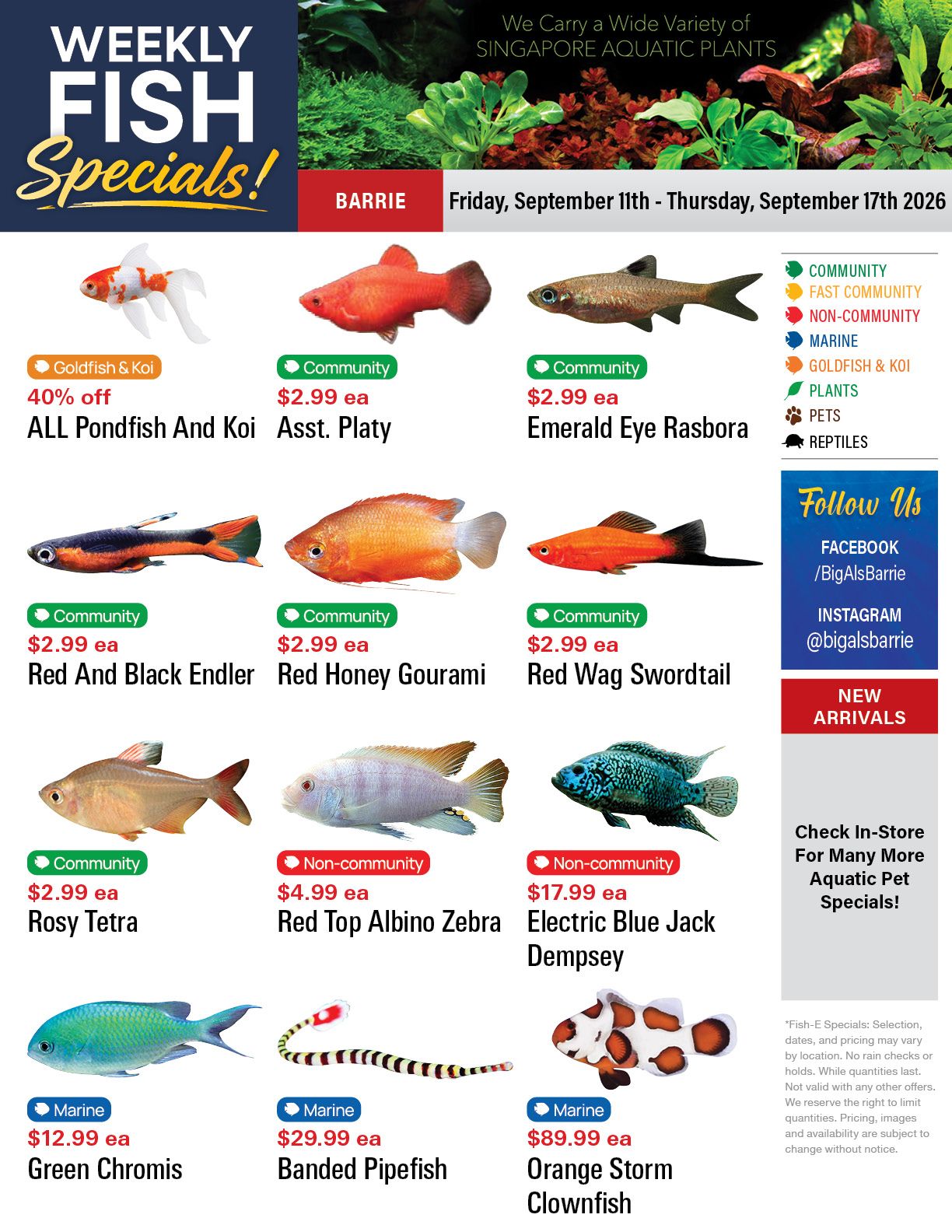 Big Al's (Barrie) Weekly Specials September 11 to 17