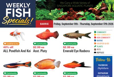 Big Al's (Barrie) Weekly Specials September 11 to 17