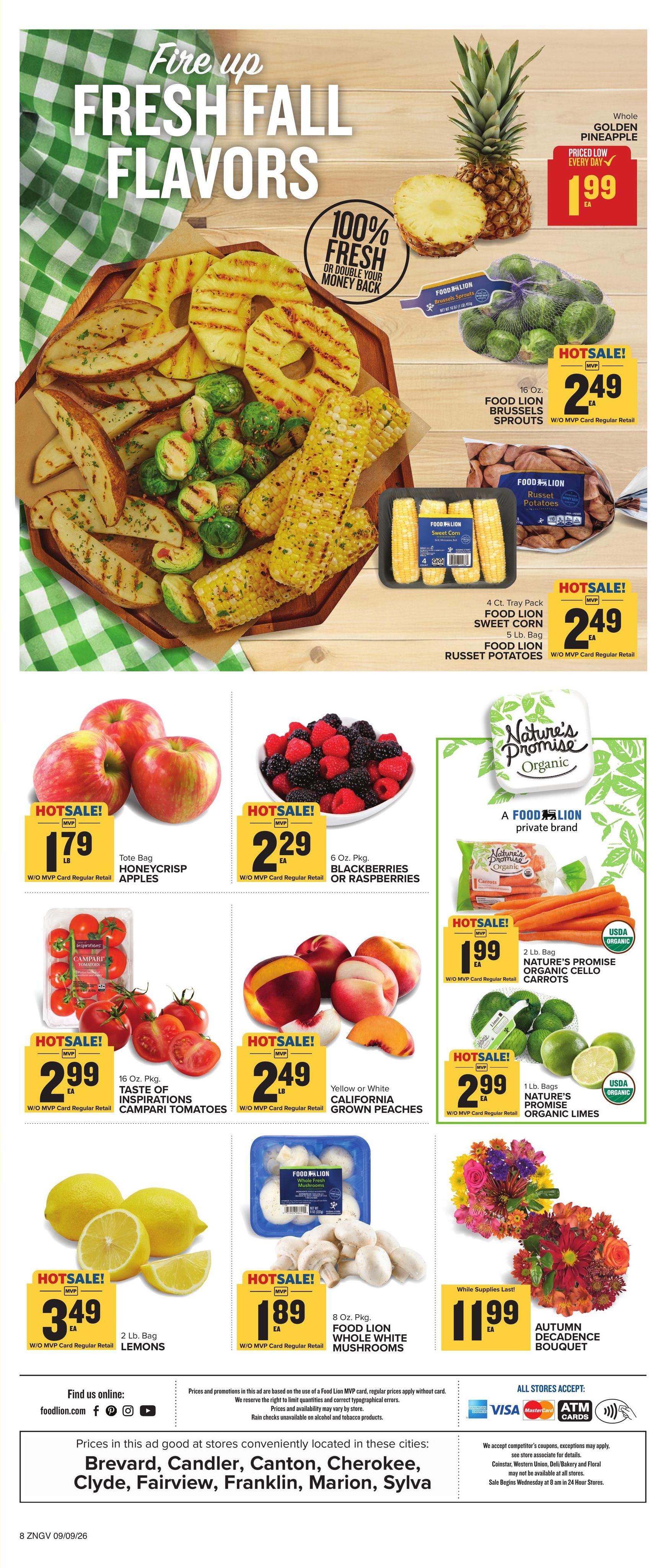 Food Lion (Asheville Area, NC) Weekly Ad September 9 - 15, 2026