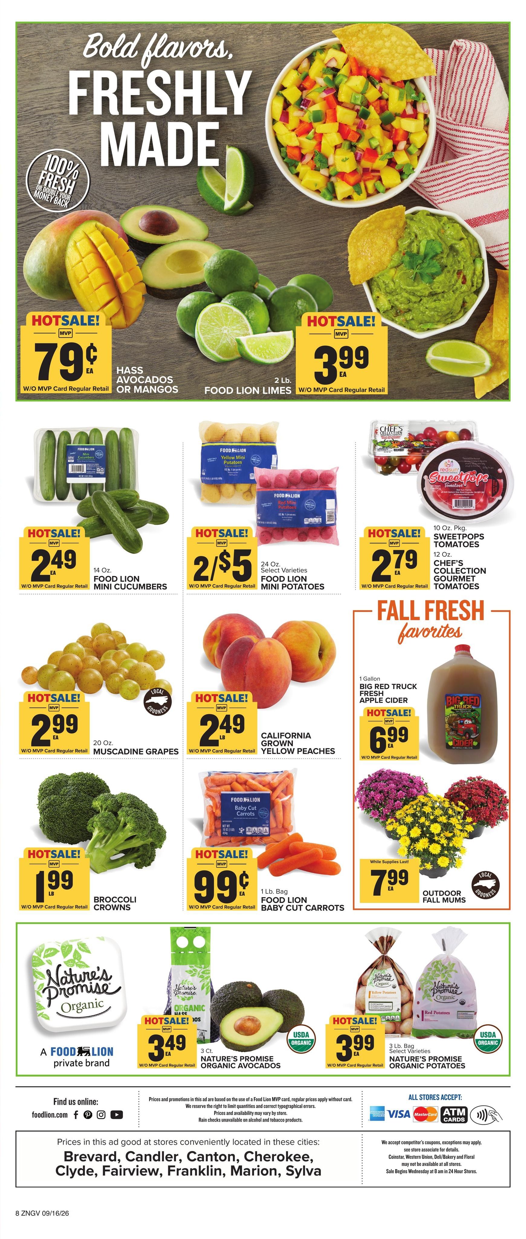 Food Lion (Asheville Area, NC) Weekly Ad September 16 - 22, 2026