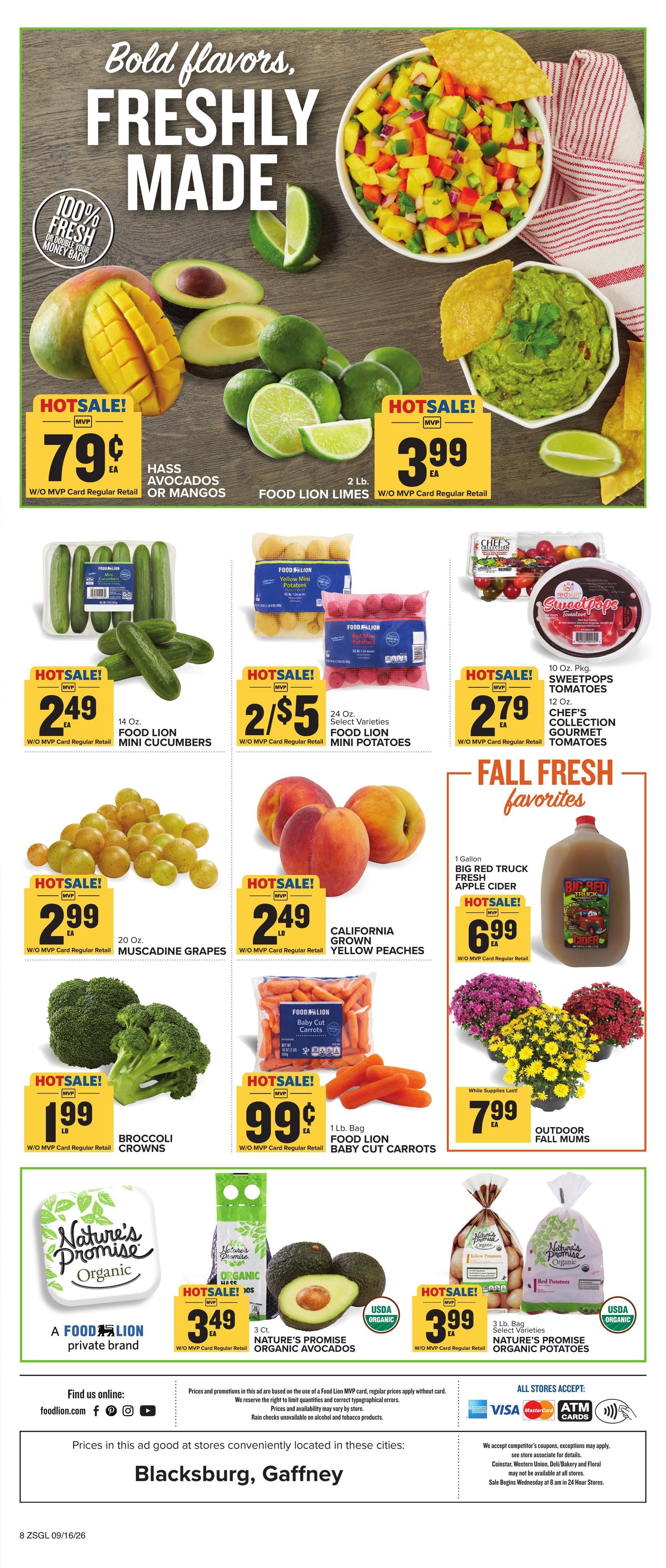 Food Lion (Richburg Area, SC) Weekly Ad September 16 - 22, 2026