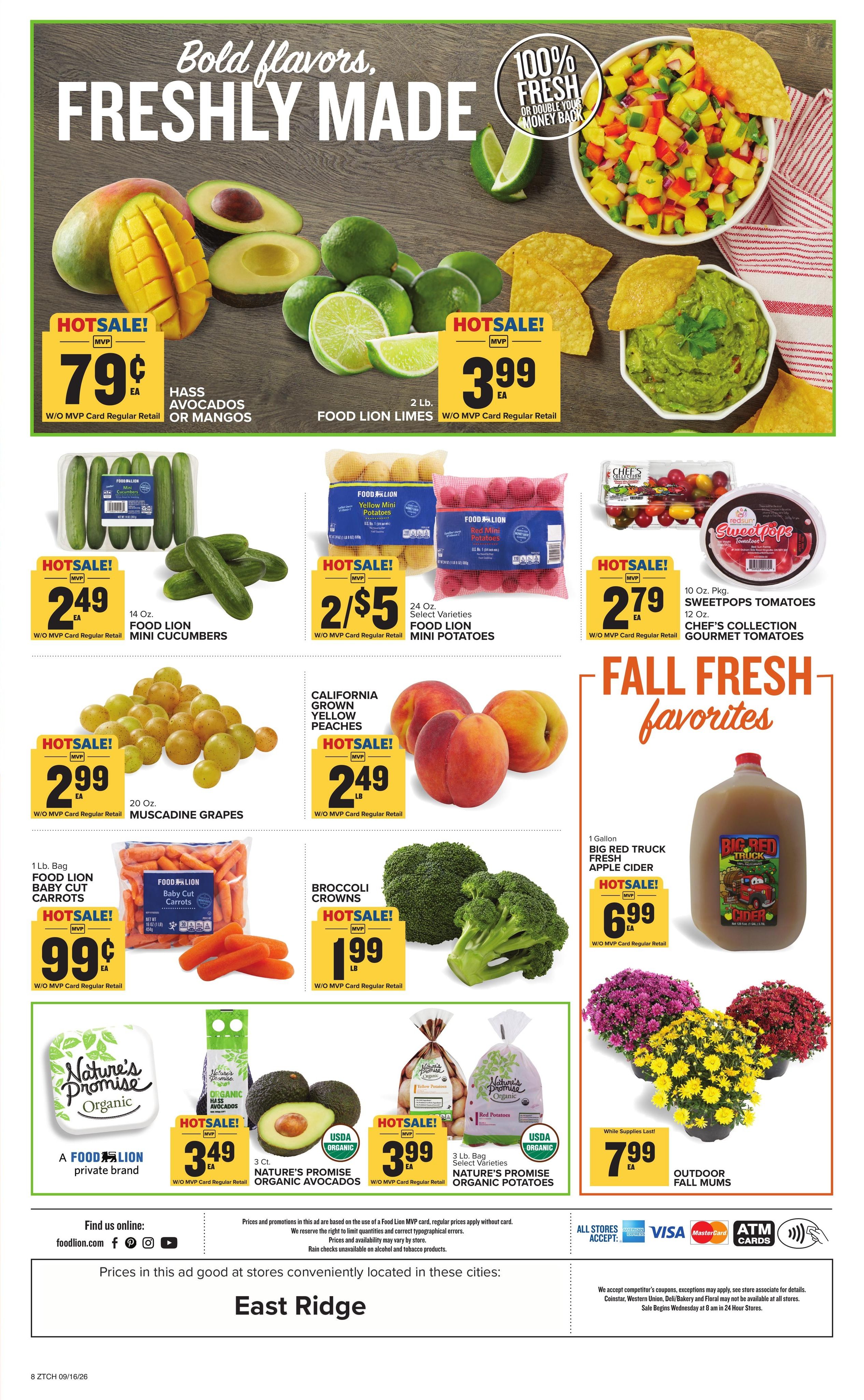 Food Lion (Chattanooga Area, TN) Weekly Ad September 16 - 22, 2026