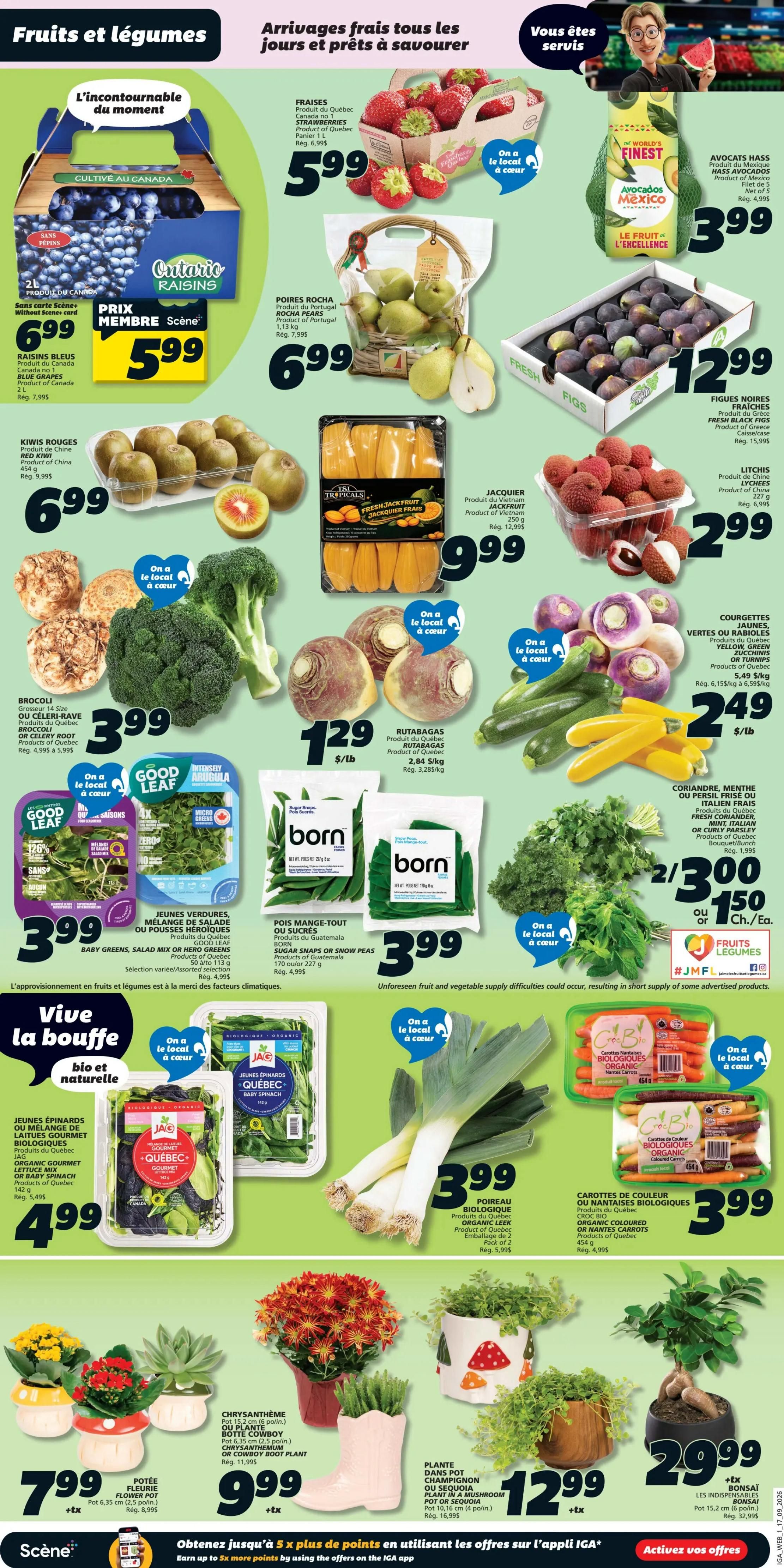 IGA (QC) Flyer September 17 to 23