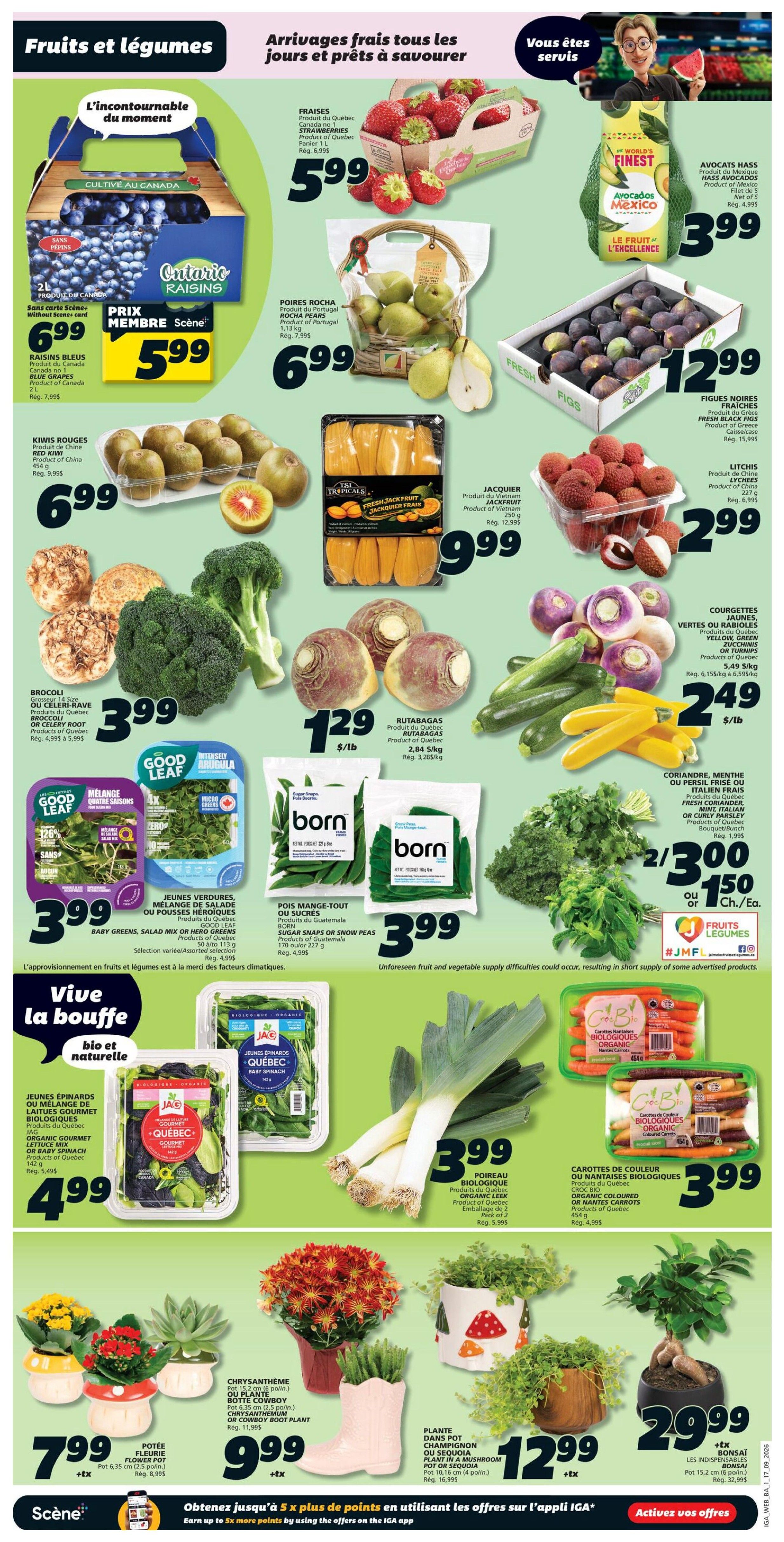 IGA (NB) Flyer September 17 to 23