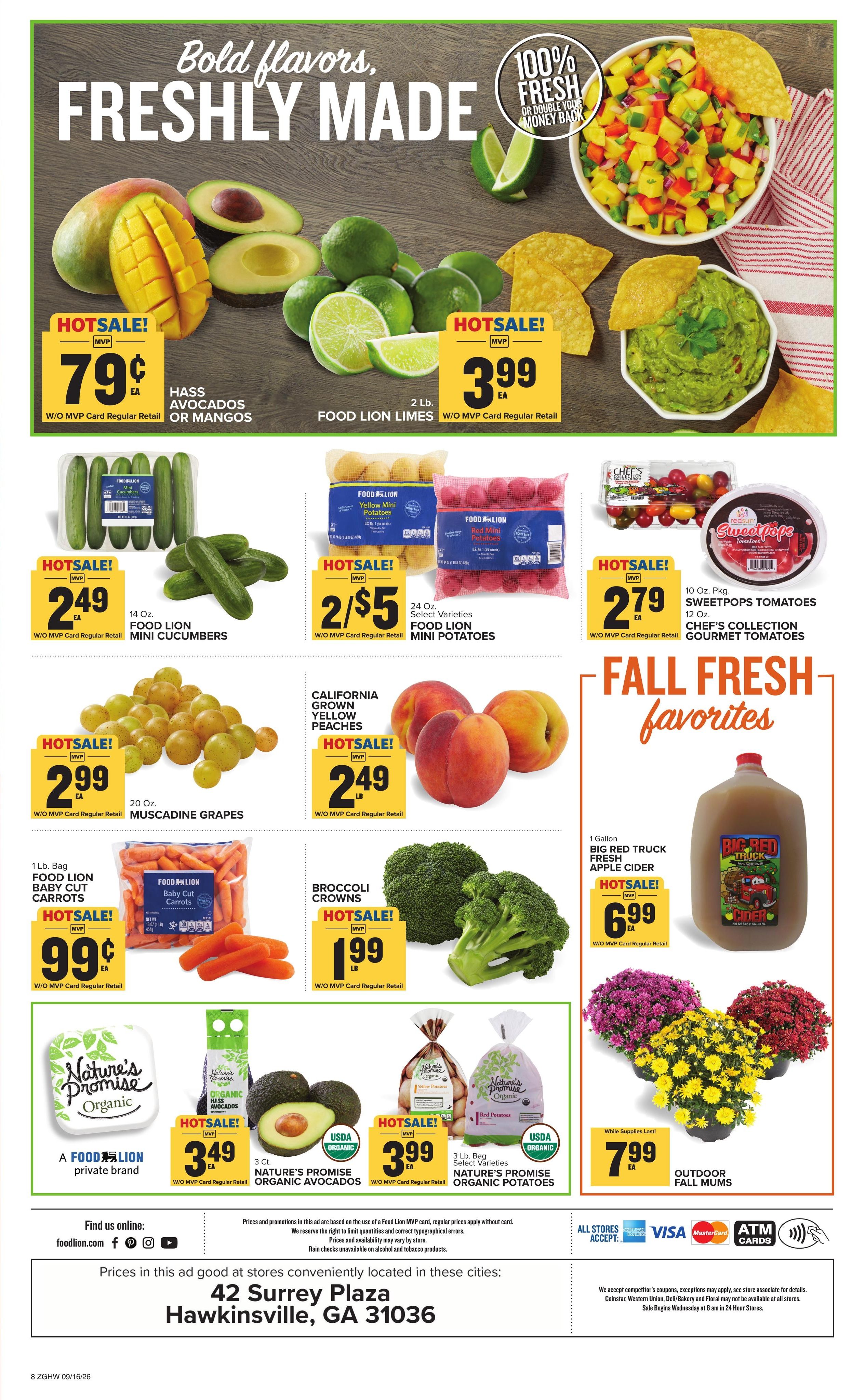 Food Lion (Eastman Area, GA) Weekly Ad September 16 - 22, 2026