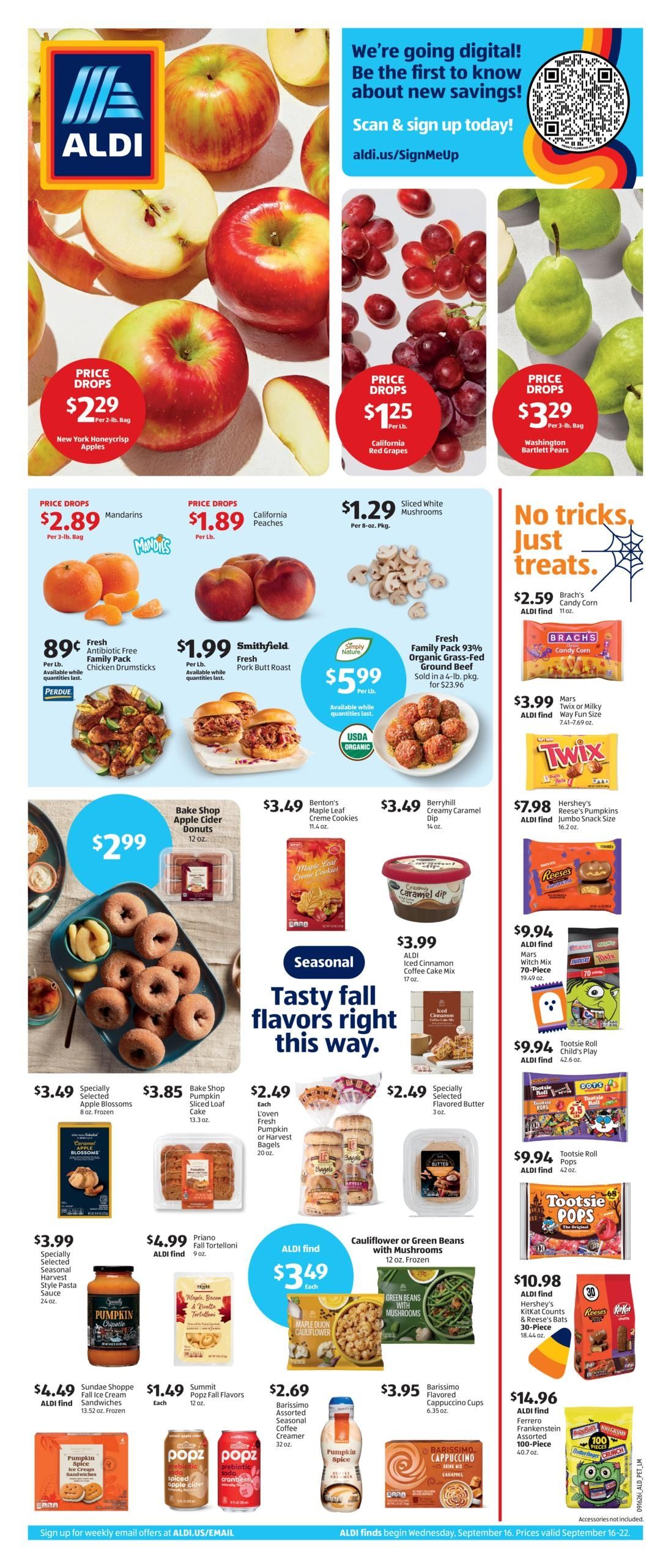 ALDI (Cary Area, NC) Weekly Ad September 16 - 22, 2026