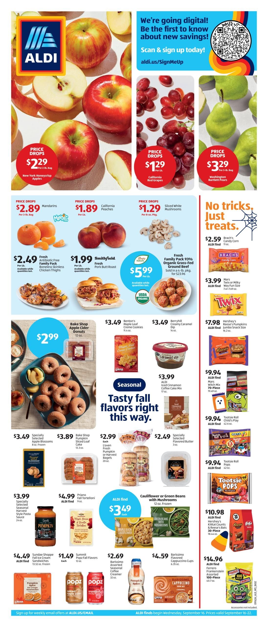 ALDI (Birmingham Area, AL) Weekly Ad September 16 - 22, 2026