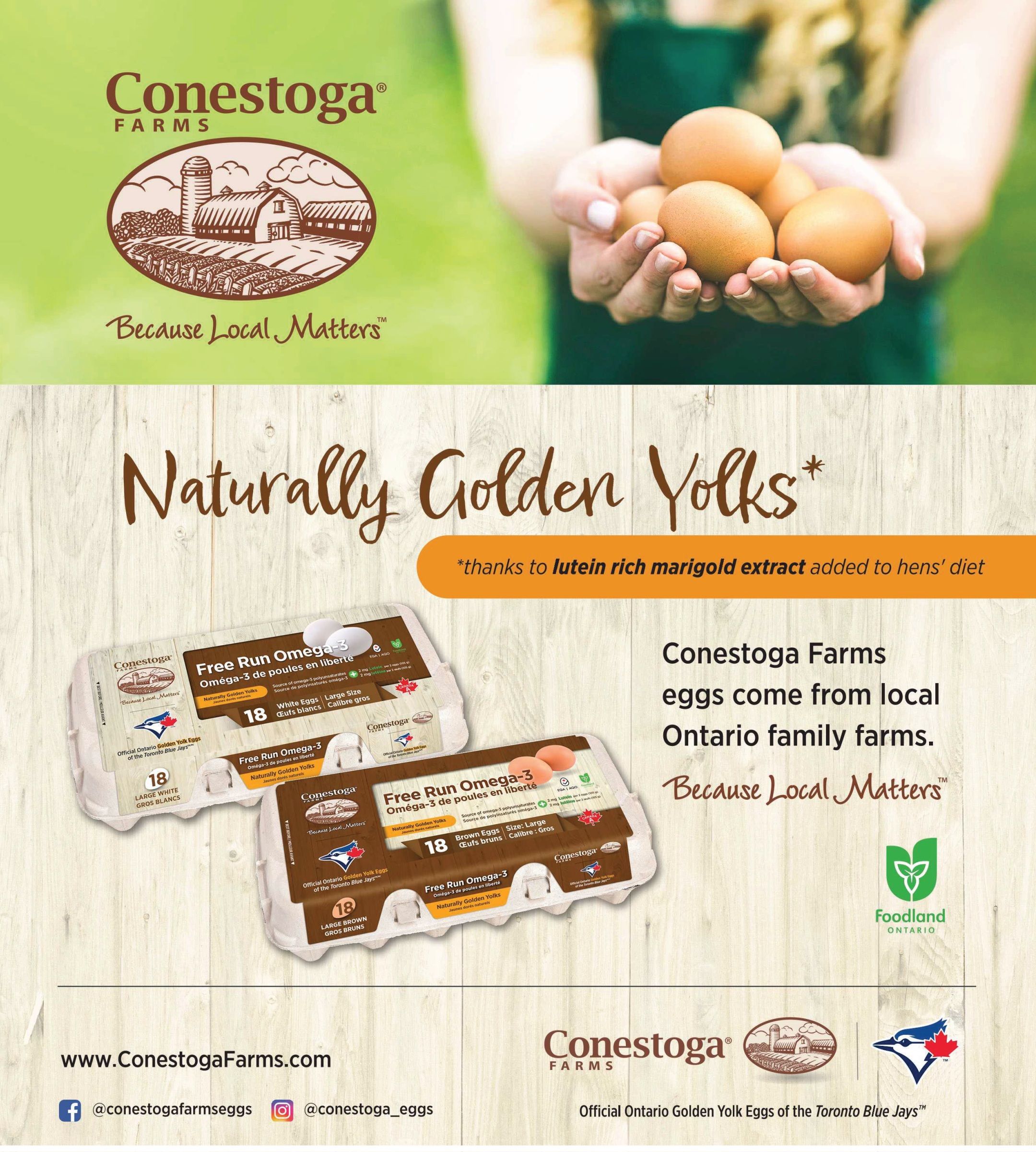 Metro (ON) Flyer September 17 to 23