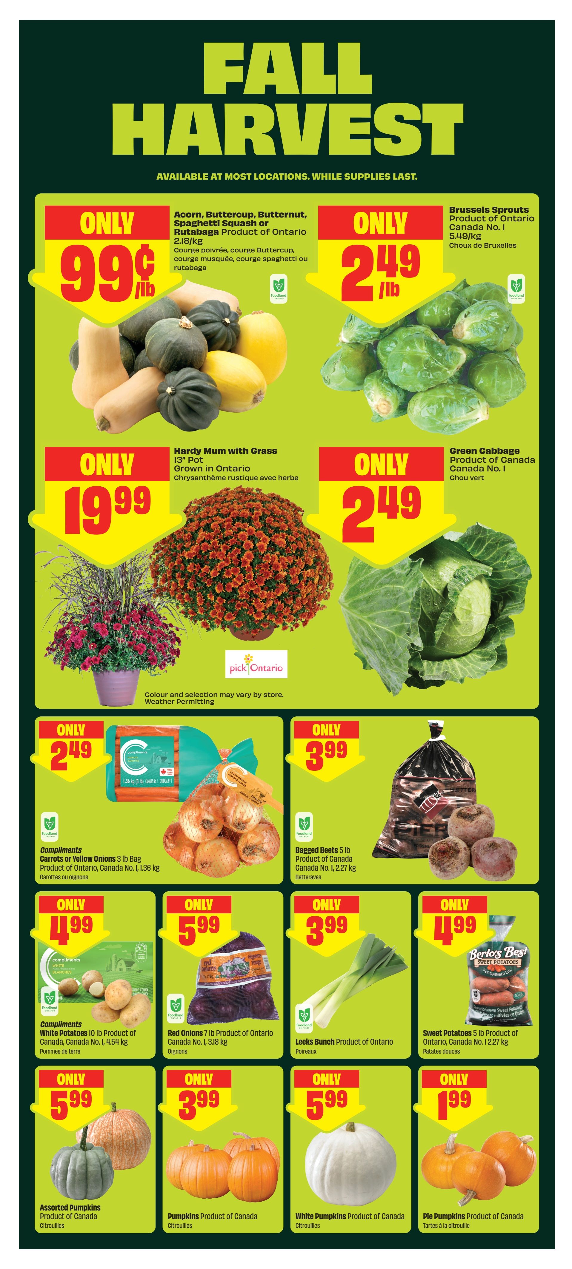 FreshCo (ON) Flyer September 17 to 23