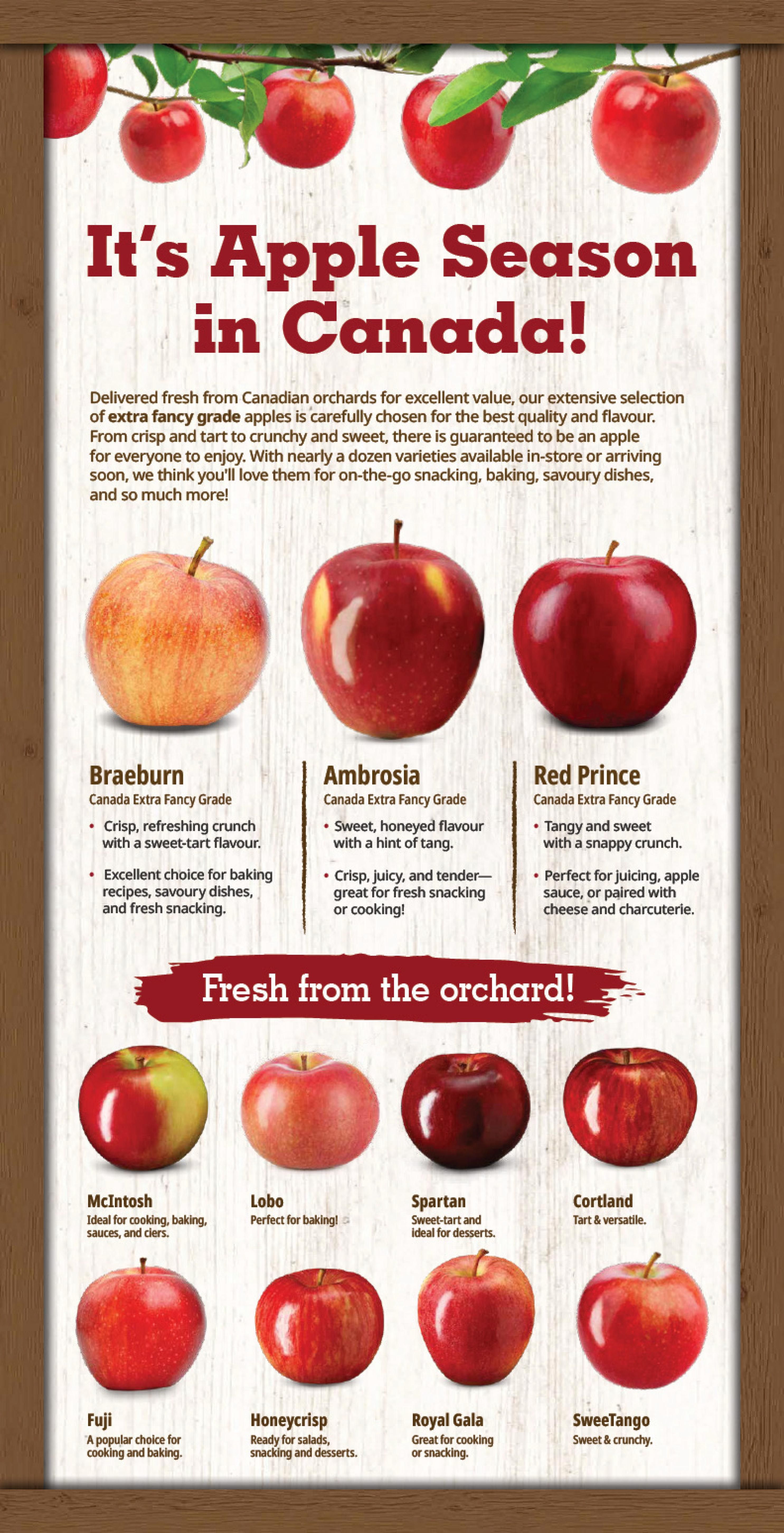Farm Boy Flyer September 17 to 23