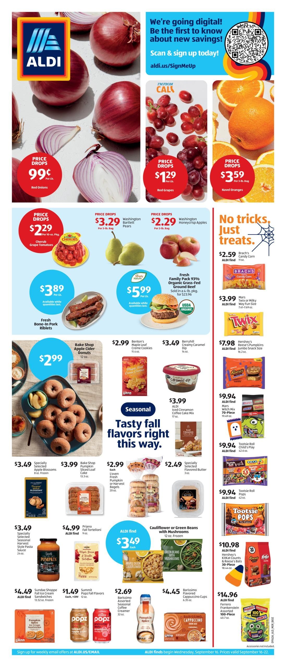 ALDI (Cambria Area, CA) Weekly Ad September 16 - 22, 2026
