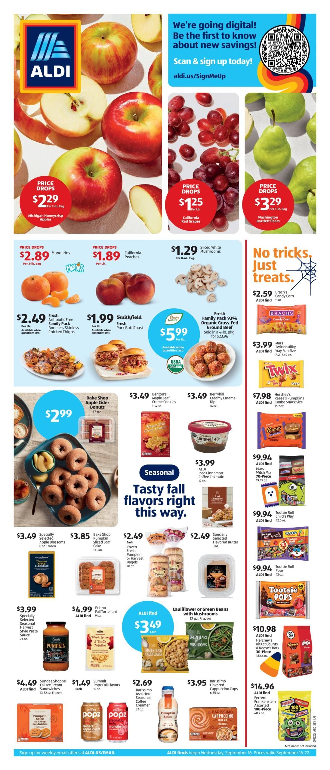 ALDI (Charlotte Area, NC) Weekly Ad September 16 - 22, 2026