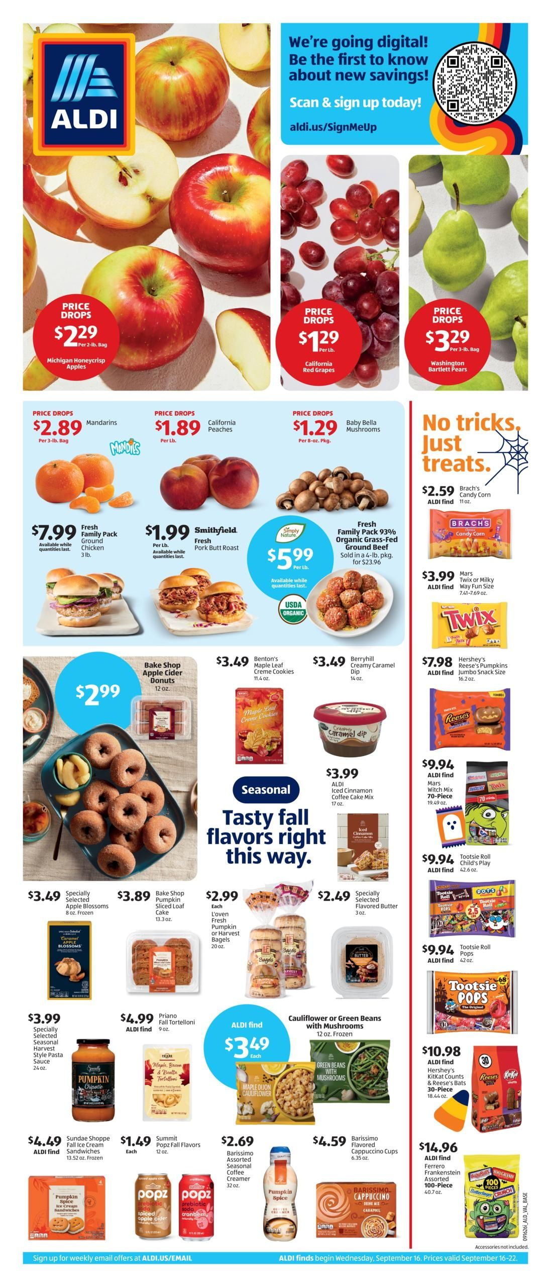 ALDI (Hammond-South Bend Area, IN) Weekly Ad September 16 - 22, 2026