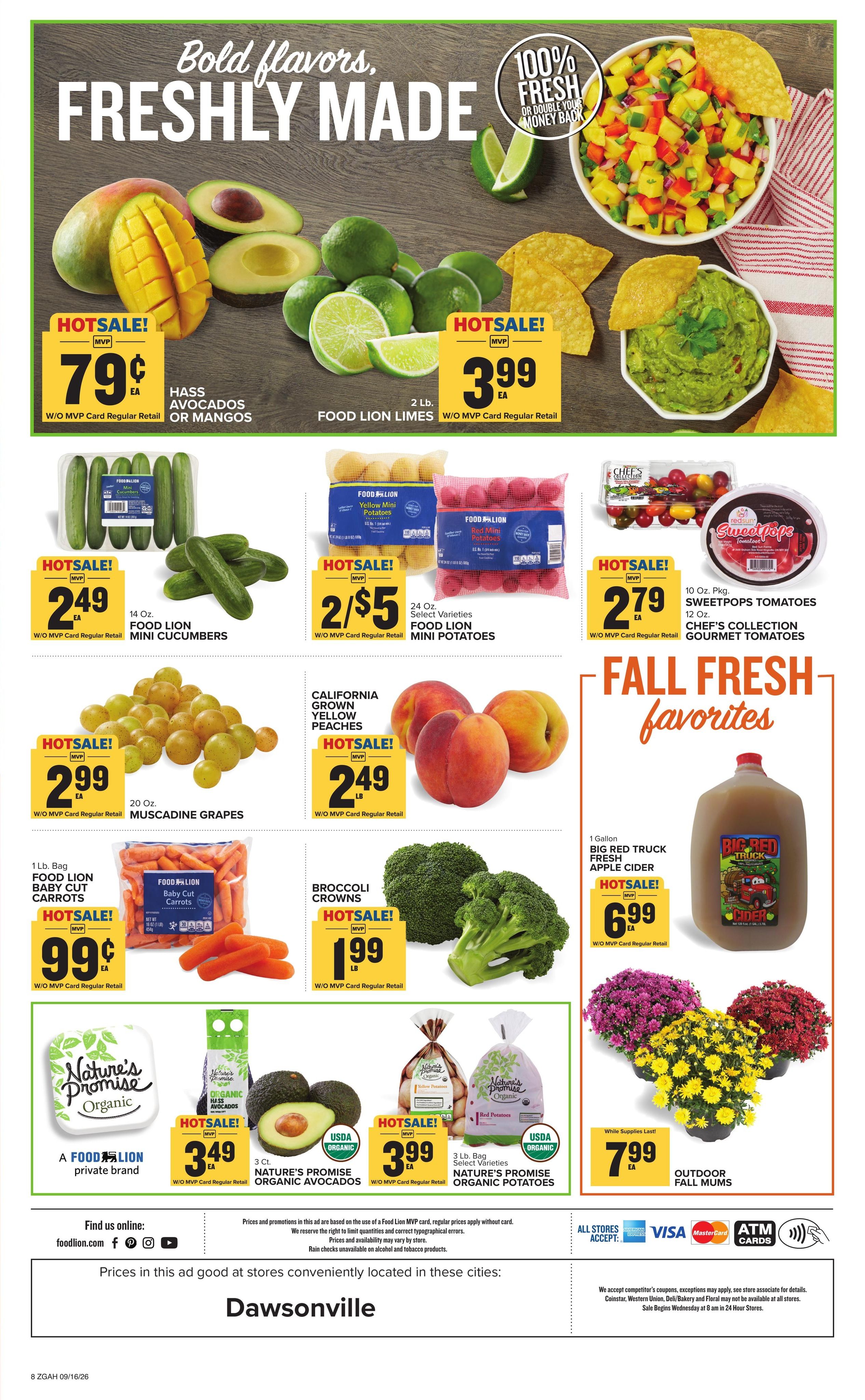 Food Lion (Helen Area, GA) Weekly Ad September 16 - 22, 2026