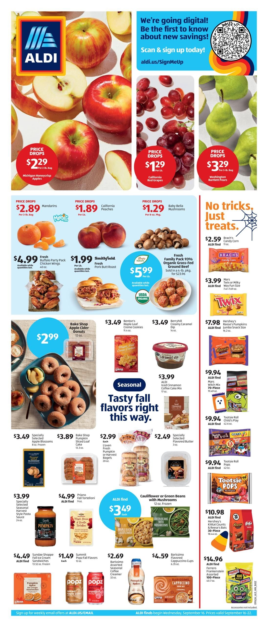 ALDI (Akron Area, OH) Weekly Ad September 16 - 22, 2026