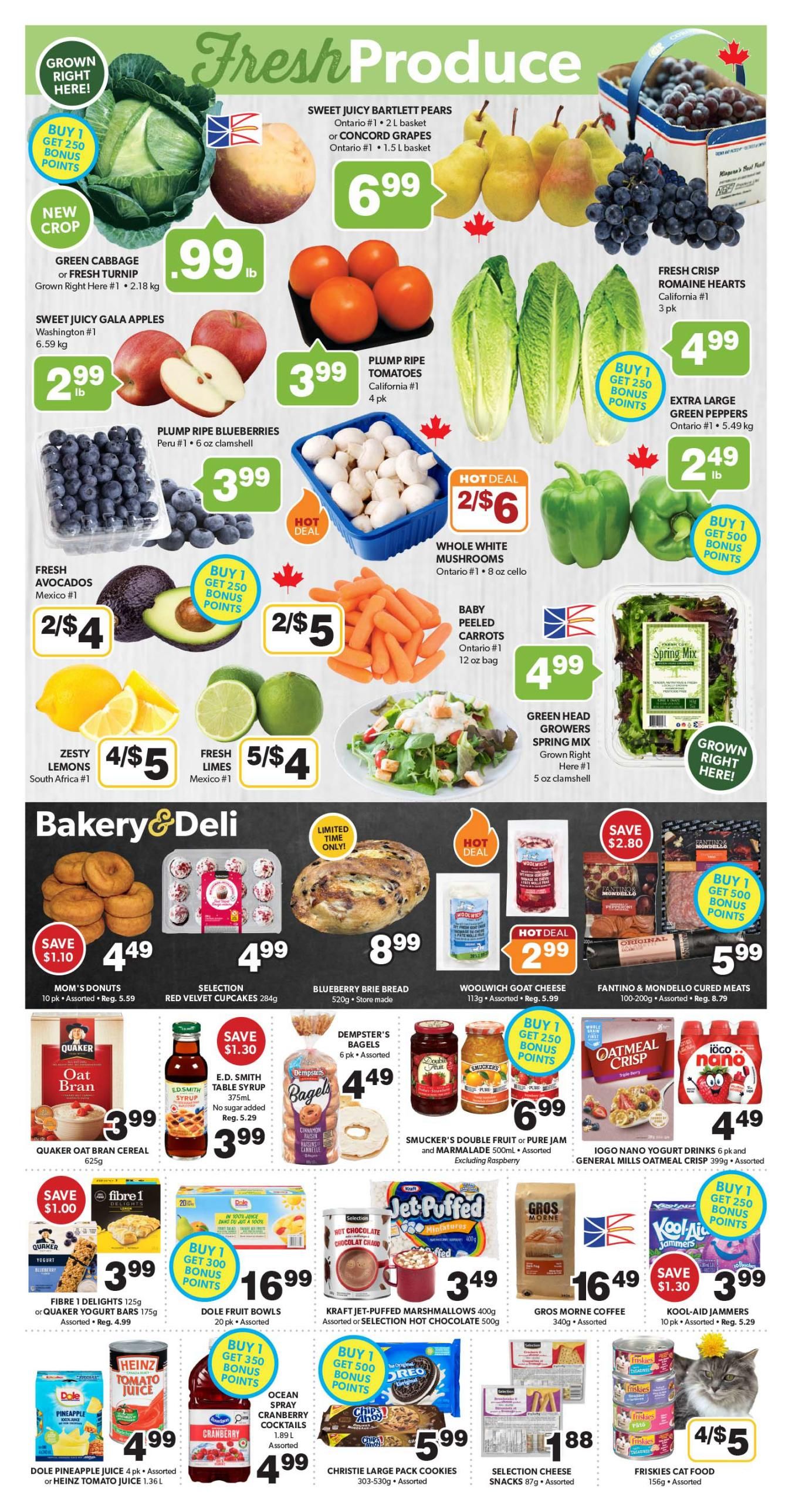 Bidgood's Flyer September 17 to 23