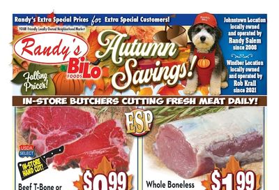 Randy's BiLo Weekly Ad September 17 - 23, 2026