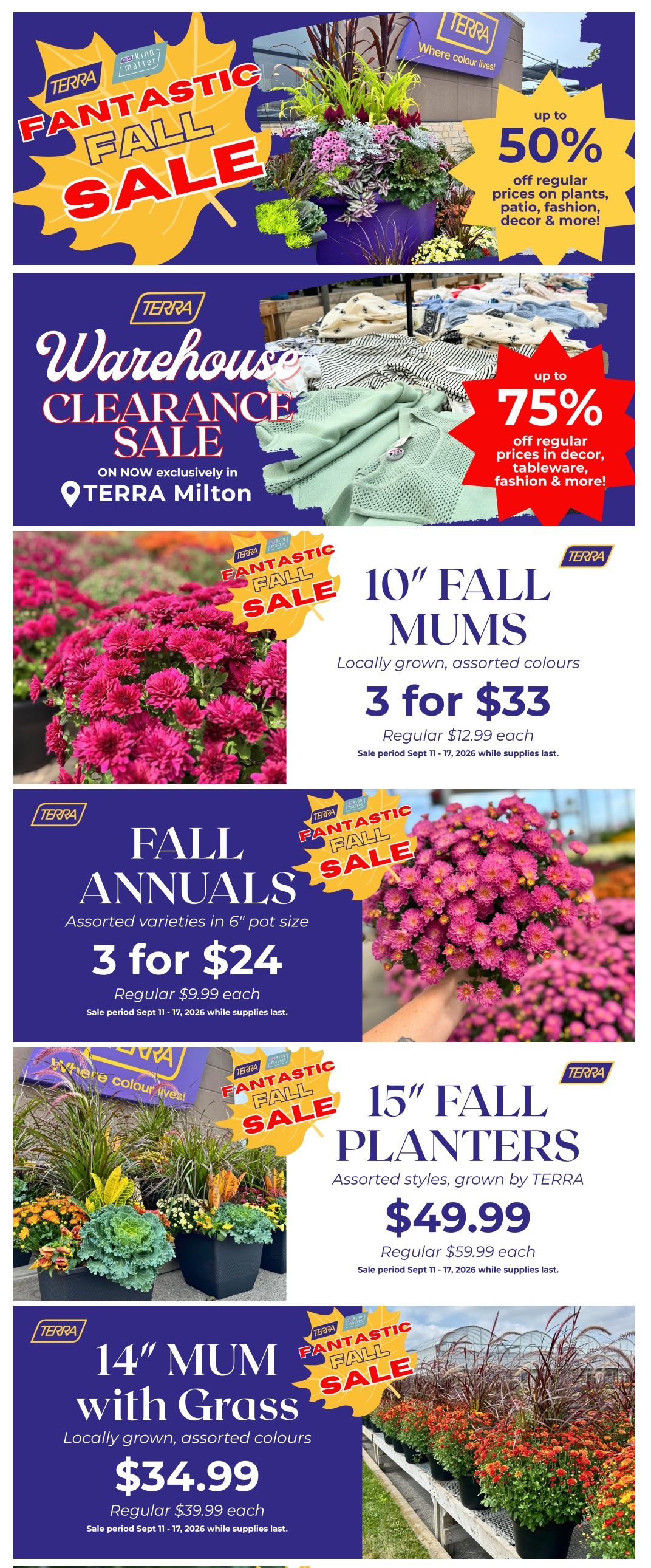 Terra Greenhouses Flyer September 11 to 17
