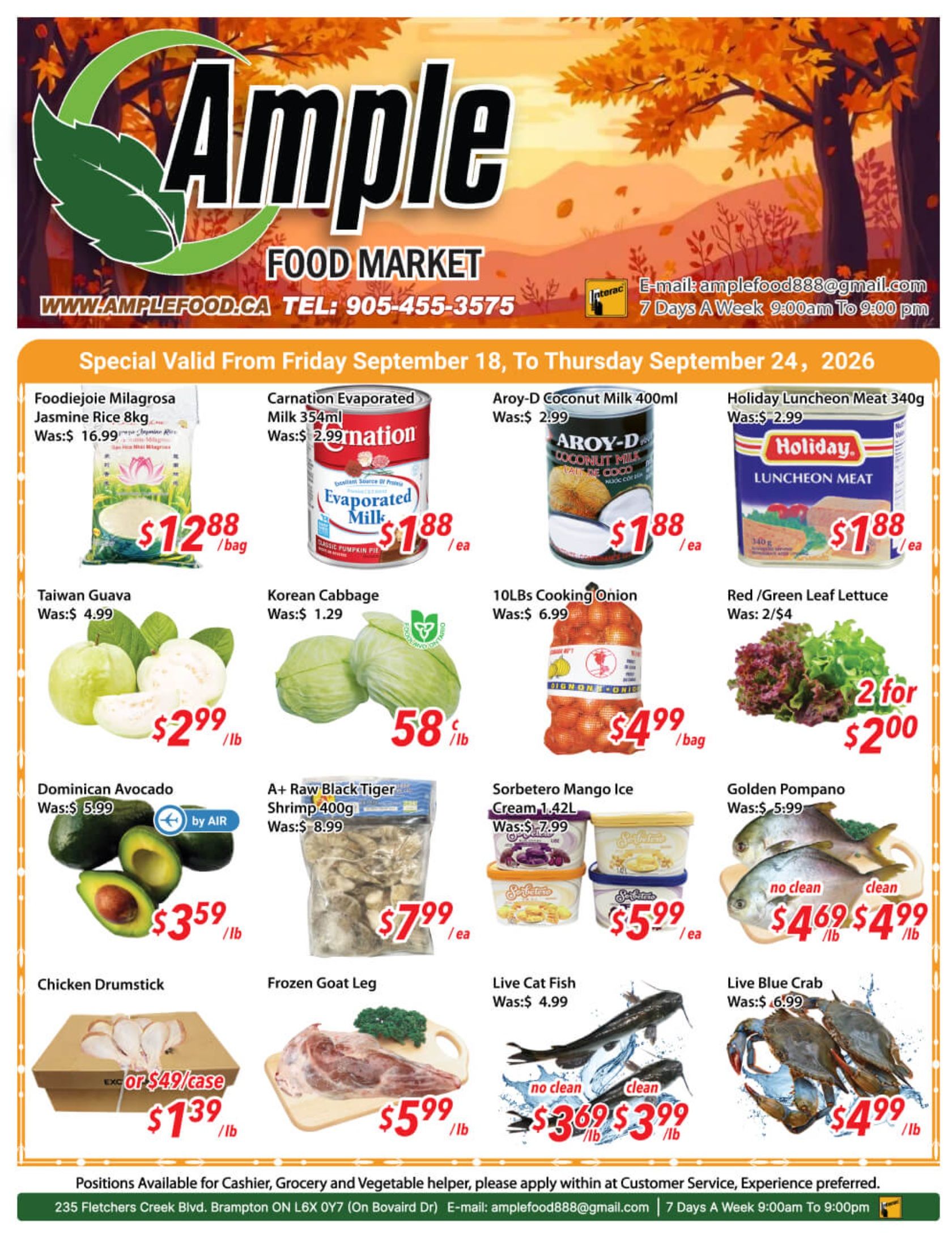 Ample Food Market (Brampton) Flyer September 18 to 24