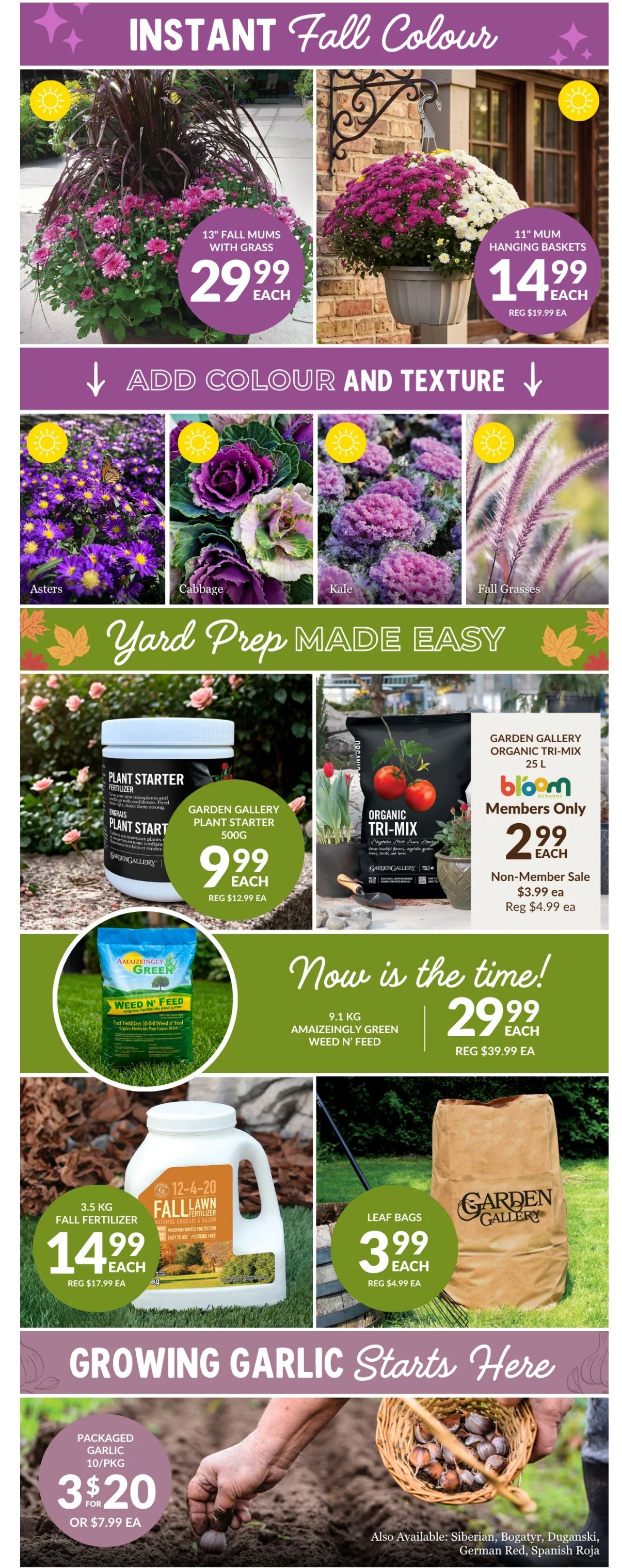 Lakeside Garden Gallery Flyer September 18 to 24
