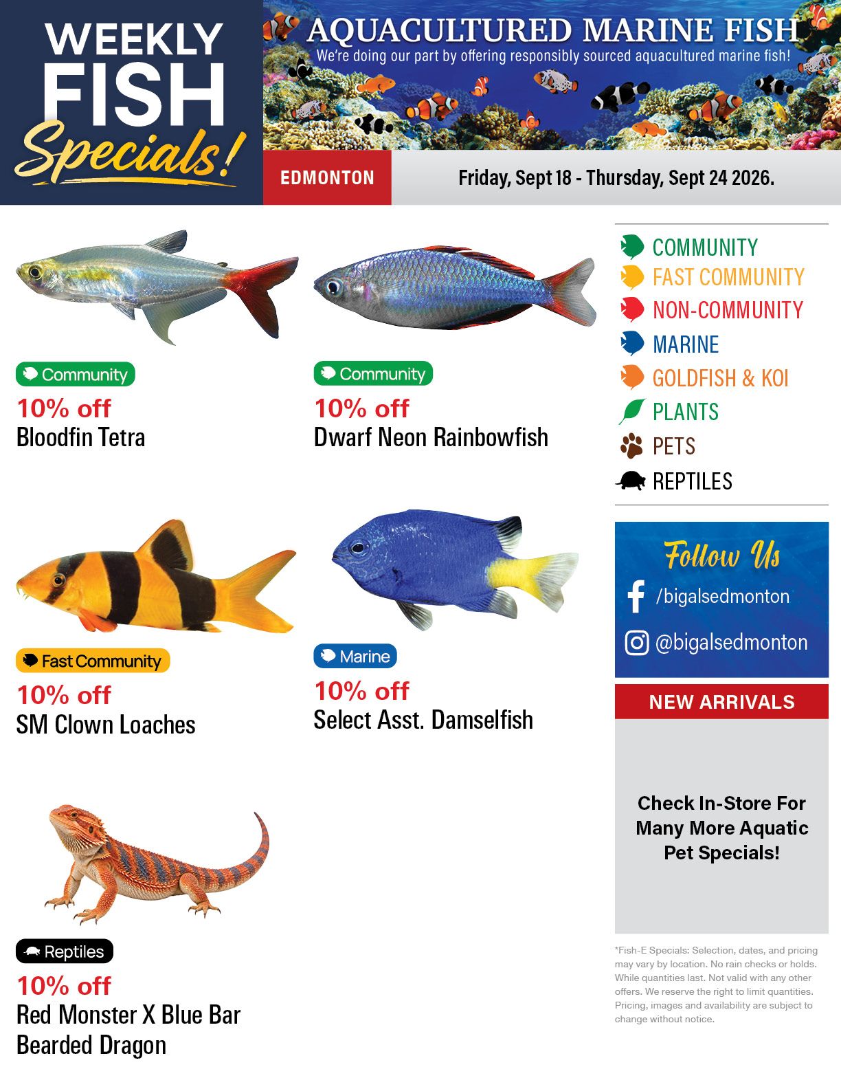Big Al's (Edmonton) Weekly Specials September 18 to 24