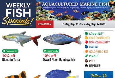 Big Al's (Edmonton) Weekly Specials September 18 to 24