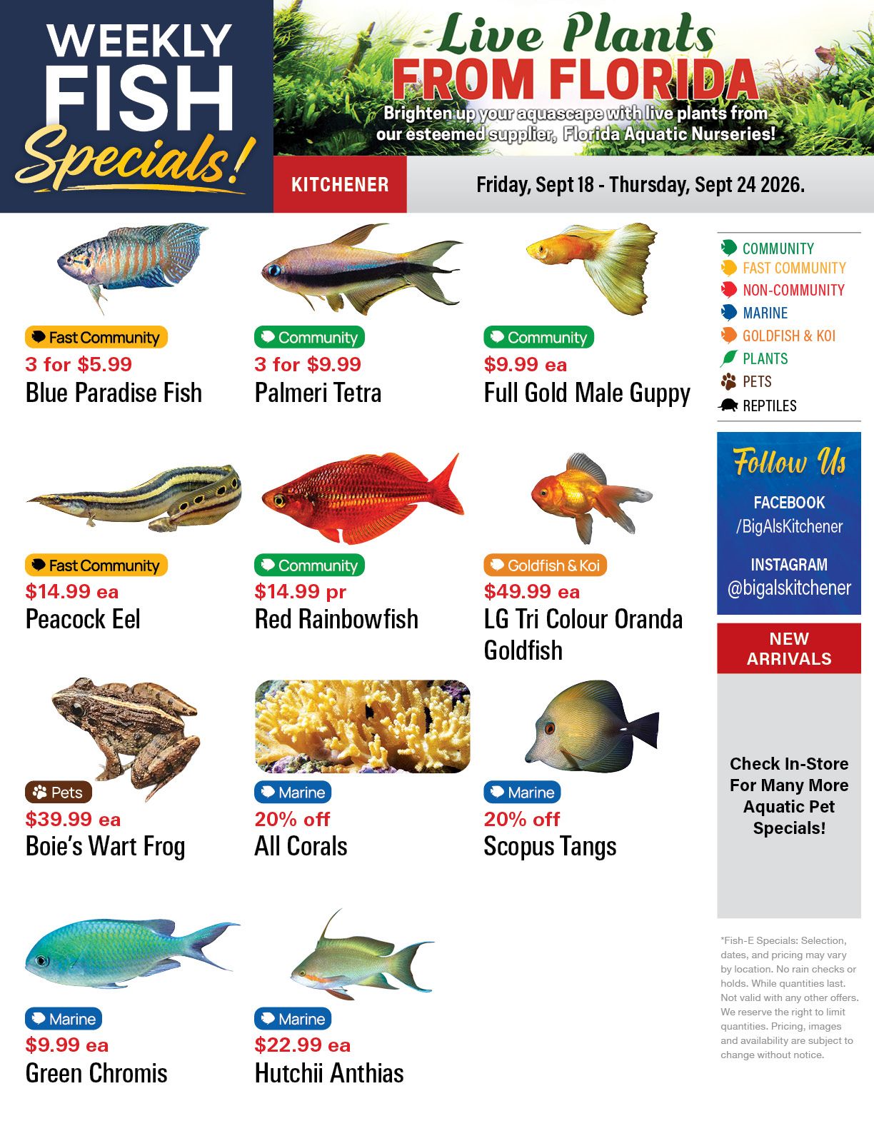 Big Al's (Kitchener) Weekly Specials September 18 to 24