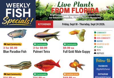 Big Al's (Kitchener) Weekly Specials September 18 to 24
