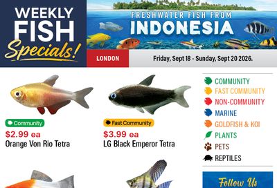 Big Al's (London) Weekend Specials September 18 to 24