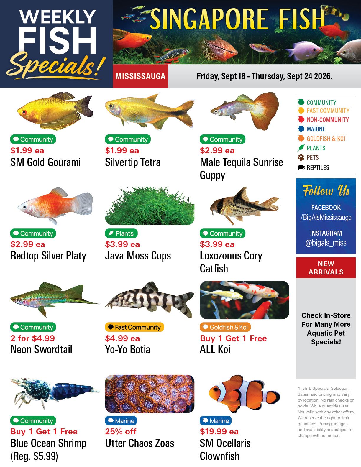 Big Al's (Mississauga) Weekly Specials September 18 to 24