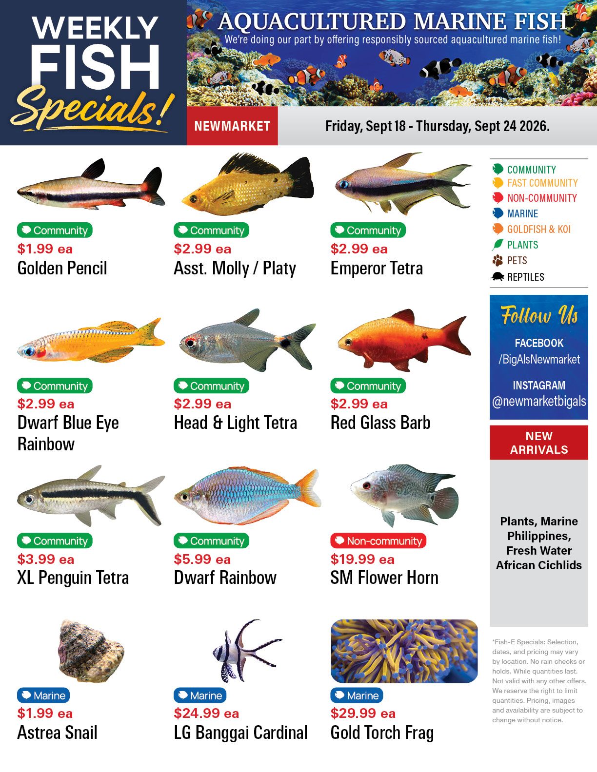 Big Al's (Newmarket) Weekly Specials September 18 to 24