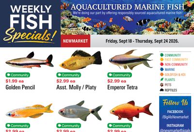 Big Al's (Newmarket) Weekly Specials September 18 to 24