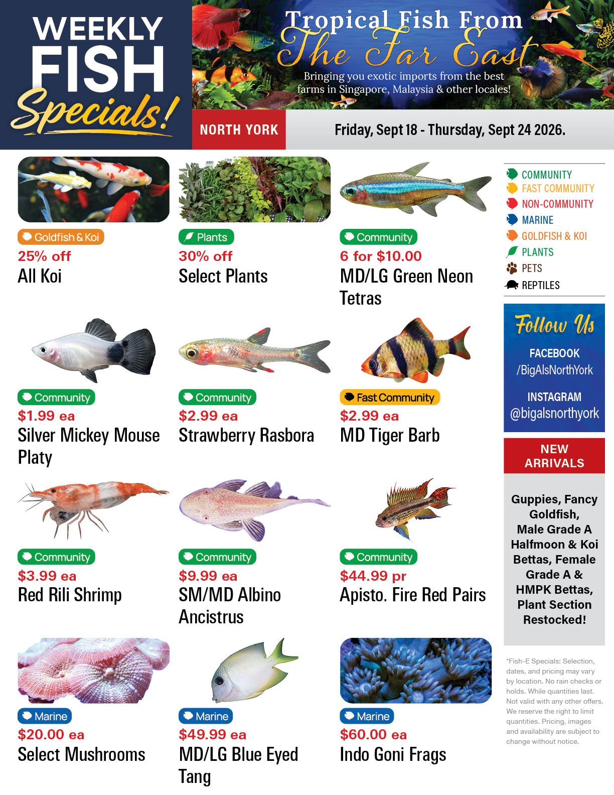 Big Al's (North York) Weekly Specials September 18 to 24