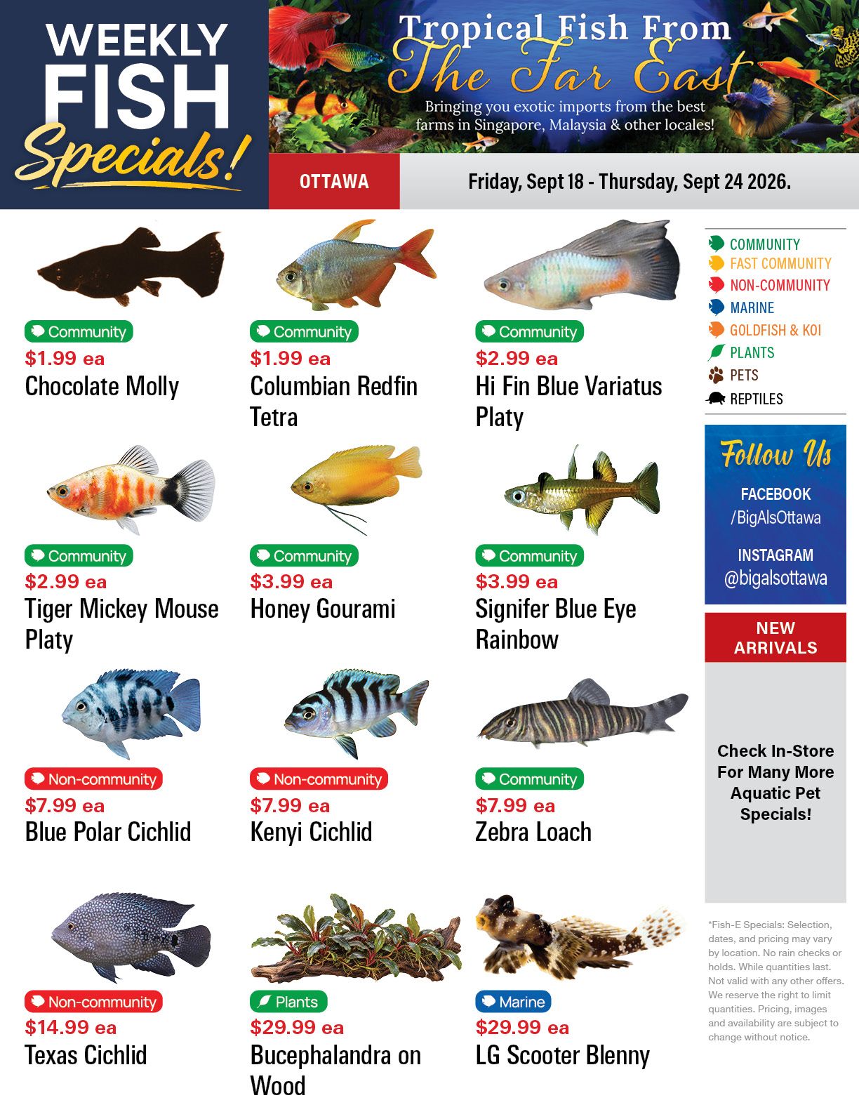 Big Al's (Ottawa) Weekly Specials September 18 to 24