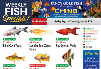 Big Al's (Scarborough) Weekly Specials September 18 to 24