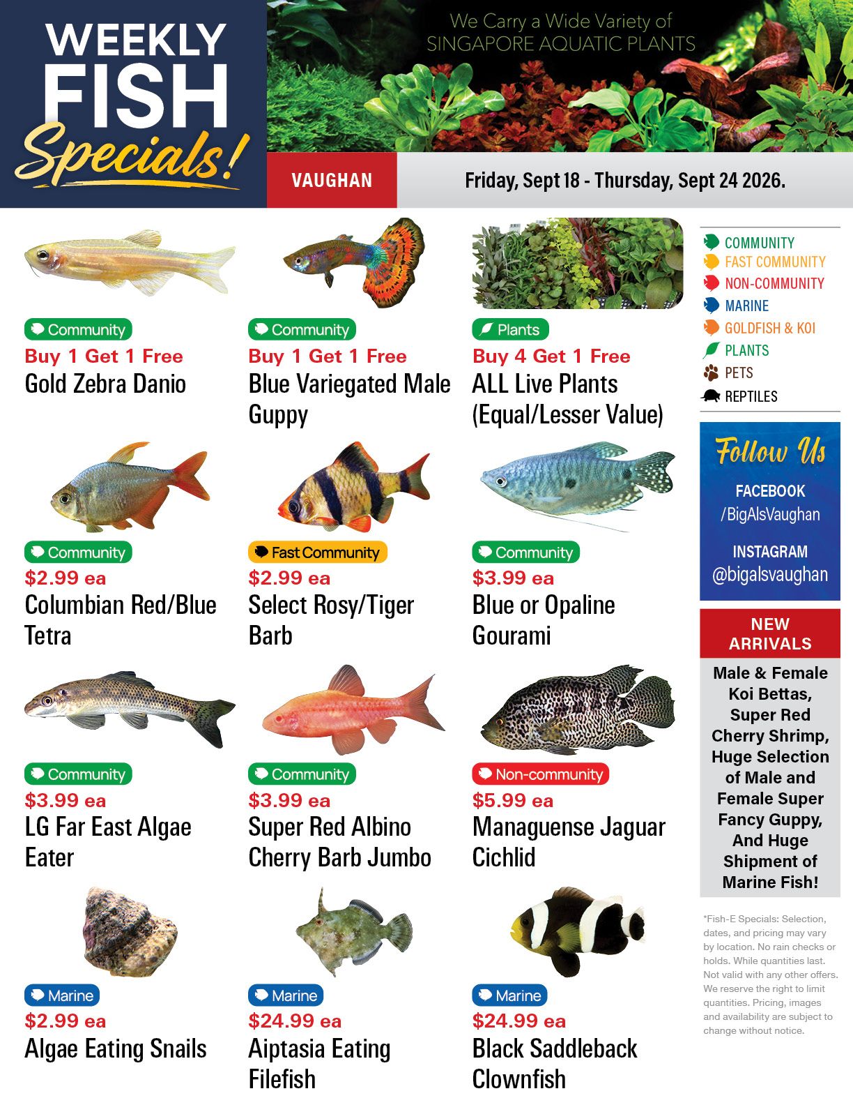 Big Al's (Vaughan) Weekly Specials September 18 to 24