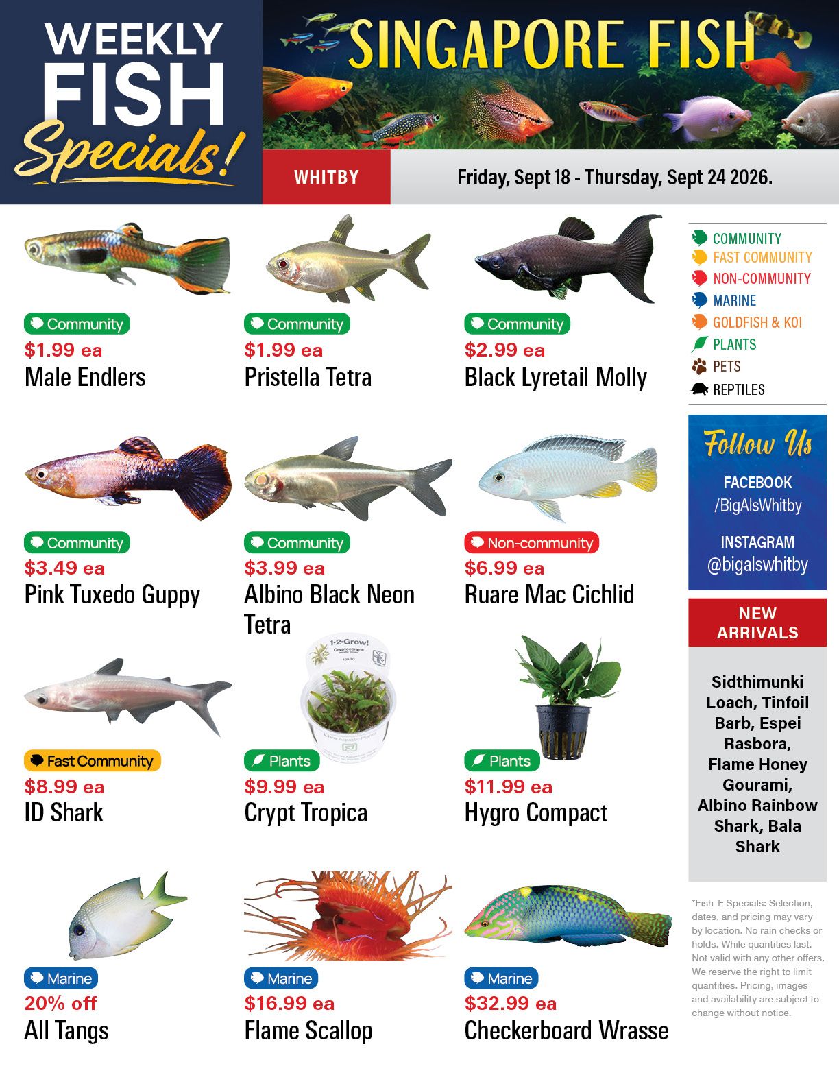 Big Al's (Whitby) Weekly Specials September 18 to 24