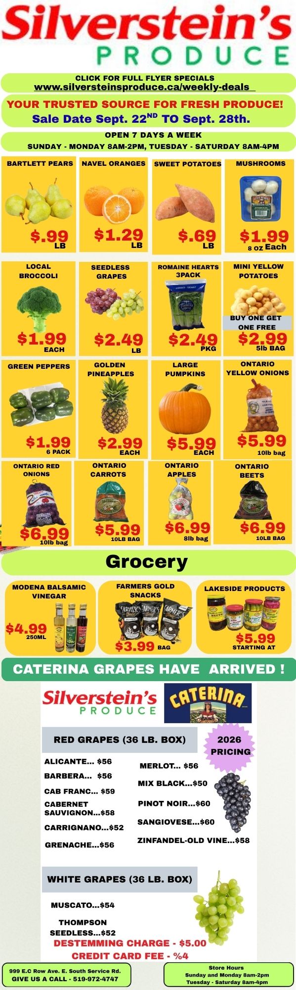 Silverstein's Produce Flyer September 22 to 28