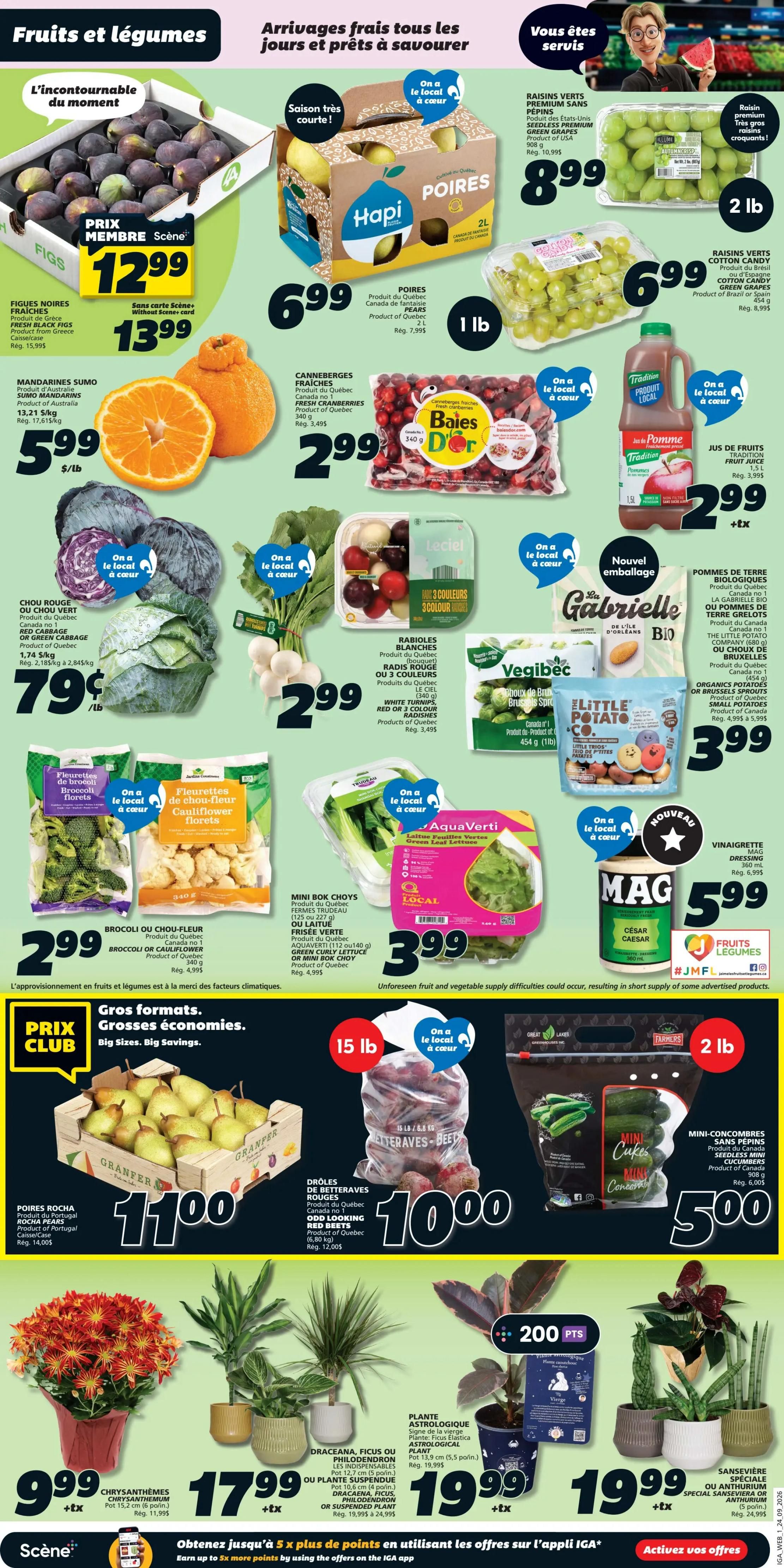 IGA (QC) Flyer September 24 to 30