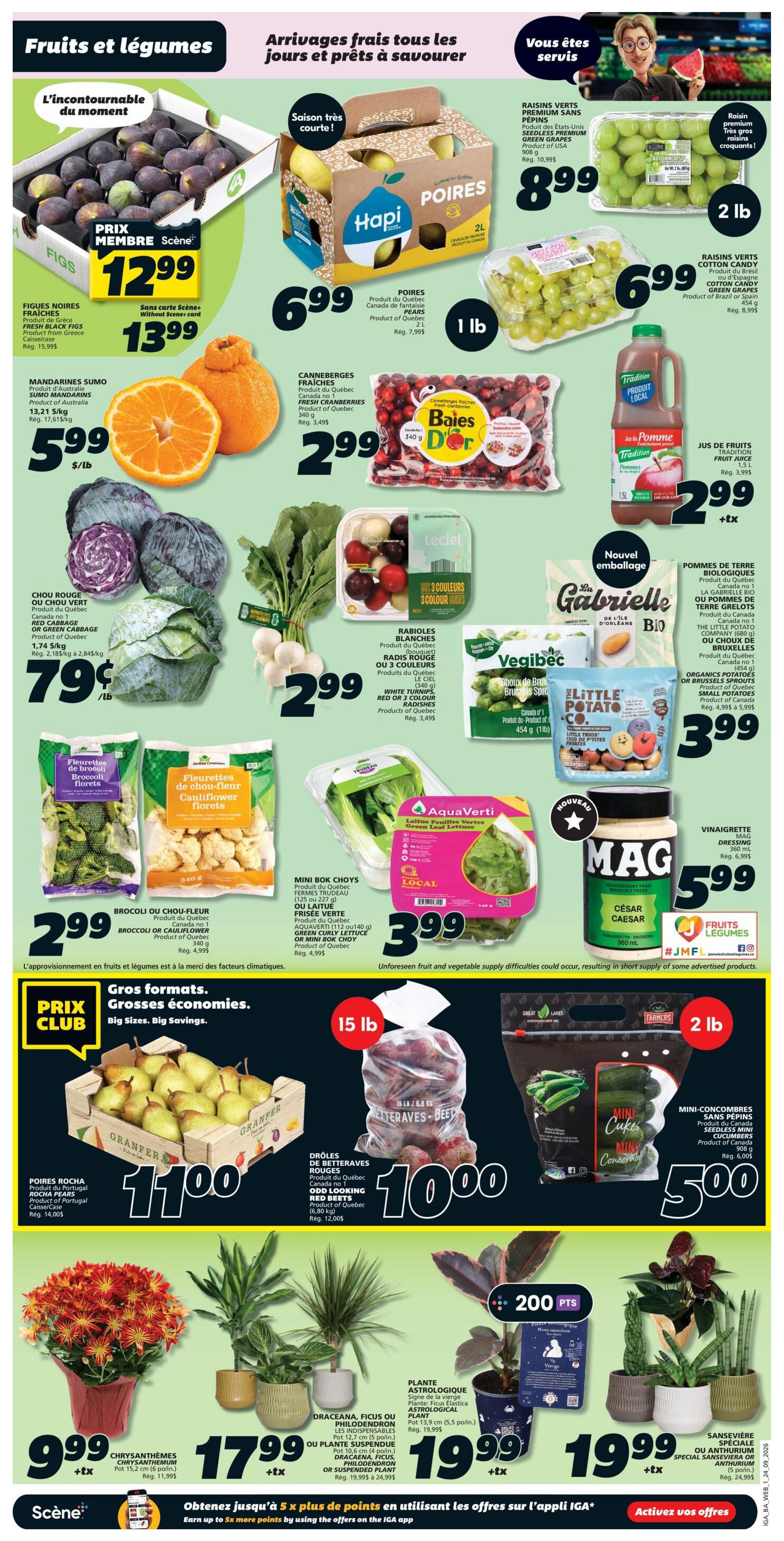 IGA (NB) Flyer September 24 to 30