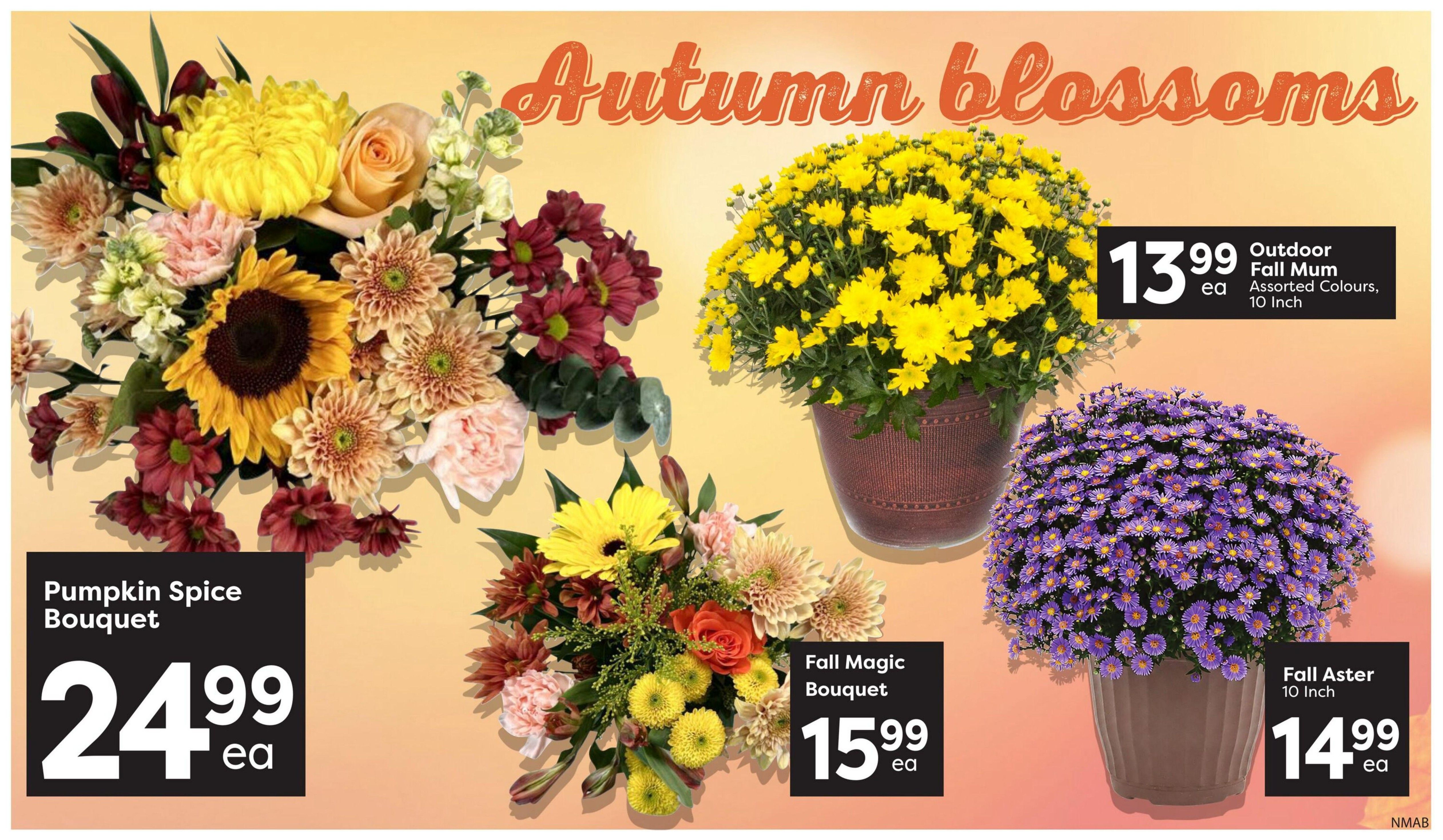 Nesters Market Flyer September 24 to 30