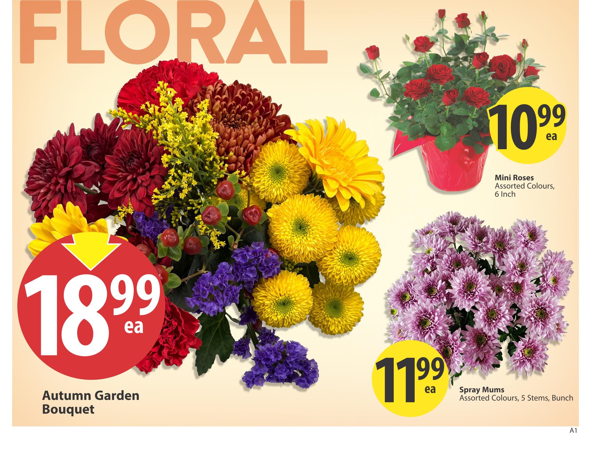 Save On Foods (BC) Flyer September 24 to 30
