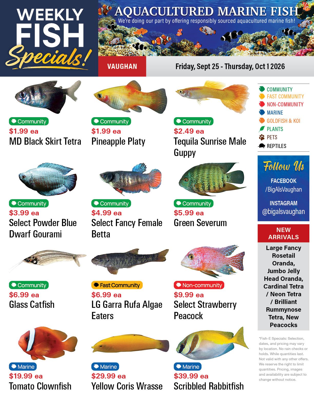Big Al's (Vaughan) Weekly Specials September 25 to October 1