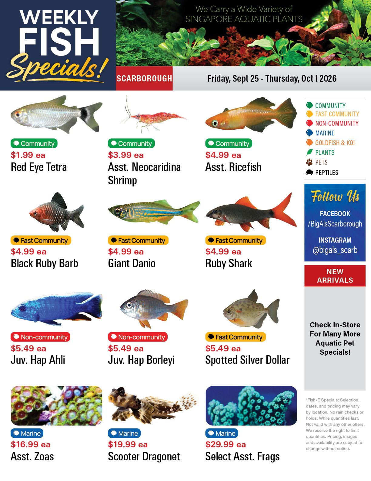 Big Al's (Scarborough) Weekly Specials September 25 to October 1