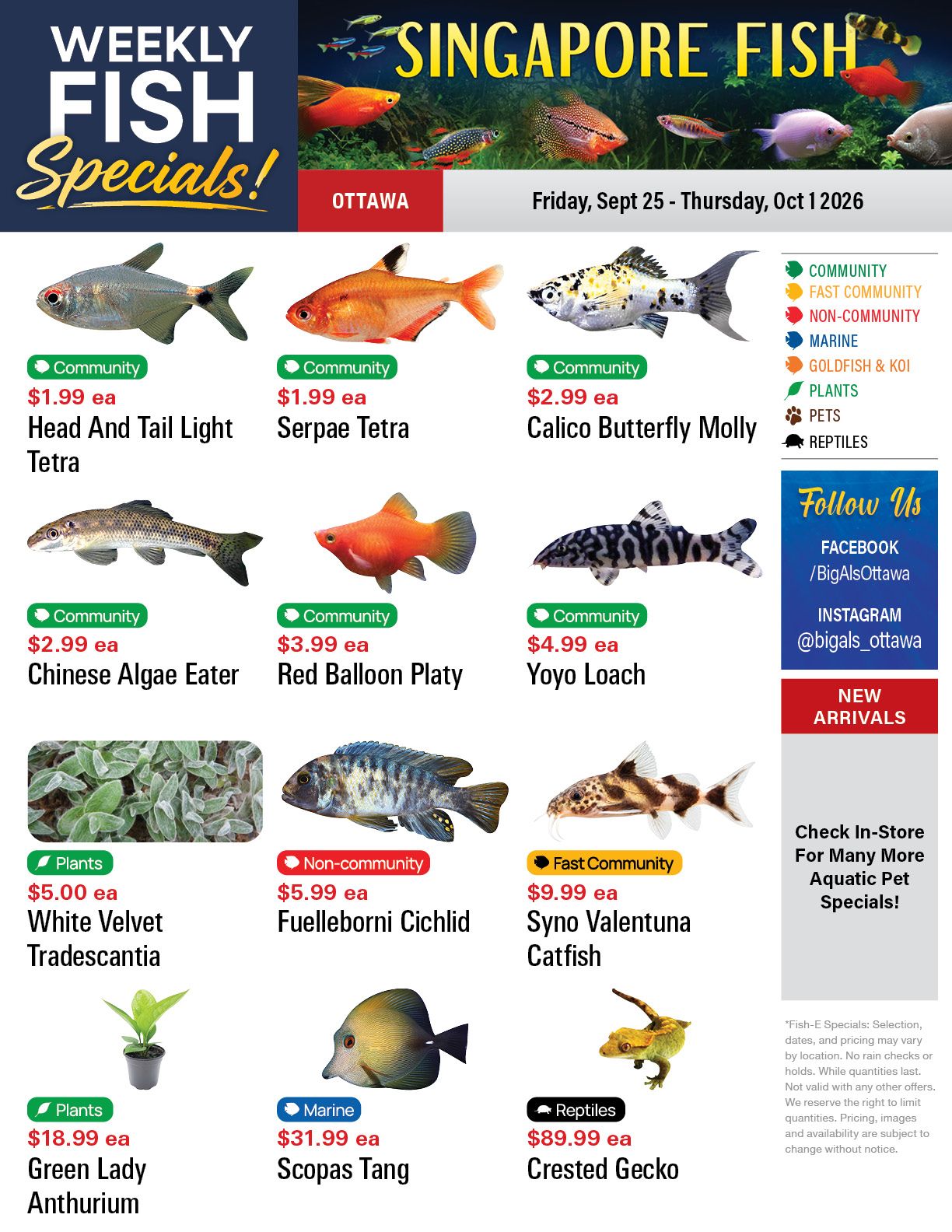 Big Al's (Ottawa) Weekly Specials September 25 to October 1