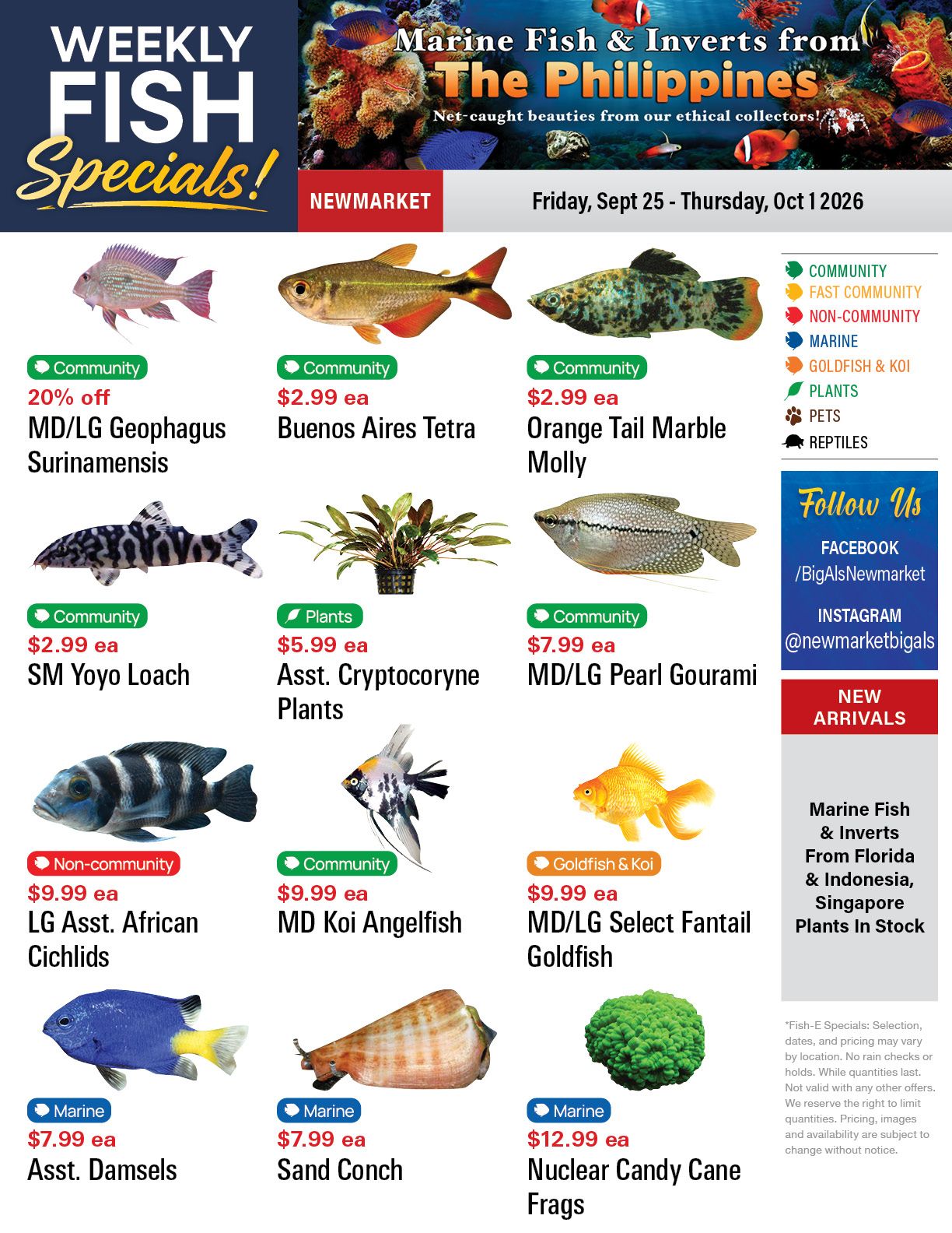 Big Al's (Newmarket) Weekly Specials September 25 to October 1