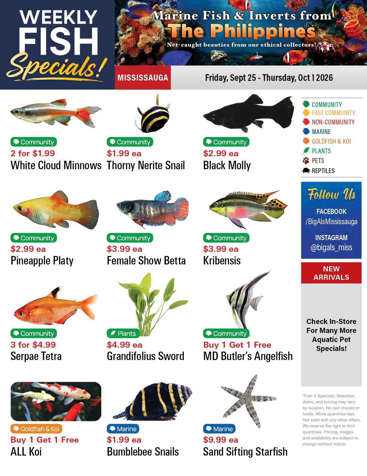 Big Al's (Mississauga) Weekly Specials September 25 to October 1