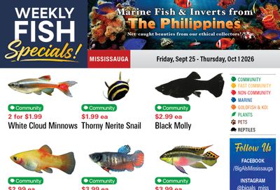 Big Al's (Mississauga) Weekly Specials September 25 to October 1
