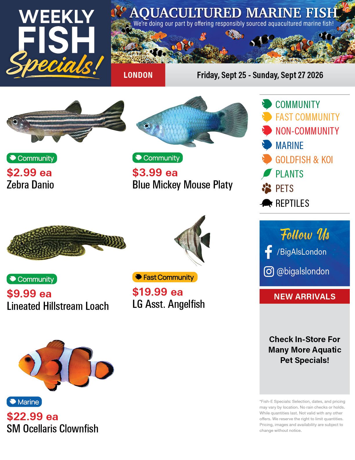 Big Al's (London) Weekend Specials September 25 to 27